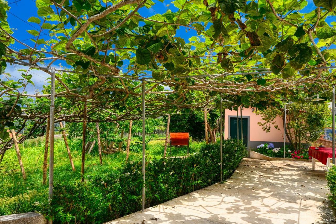 Os Ferreirinhos, A Home In Madeira São Jorge Exterior foto